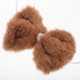 thumbnail image 4 of KAKOWELY Conjunto de disfraz de oso de 4 piezas: diadema con orejas de oso, pajarita, cola y nariz, accesorios para disfraz de Halloween, carnaval, fiesta de cosplay de animales., 4 of 4