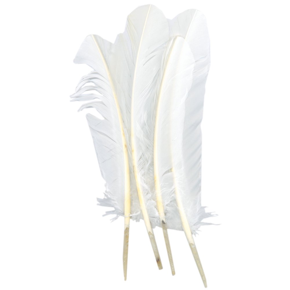 Turkey Quill Feathers 4/PkgWhite