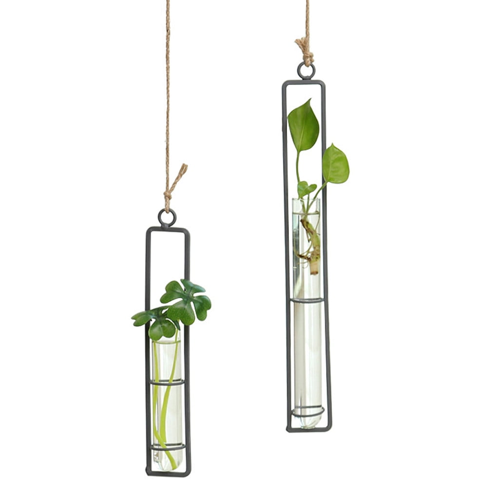 Glass Propagation Station Test Tube Vases Clear Glass for Cuttings
