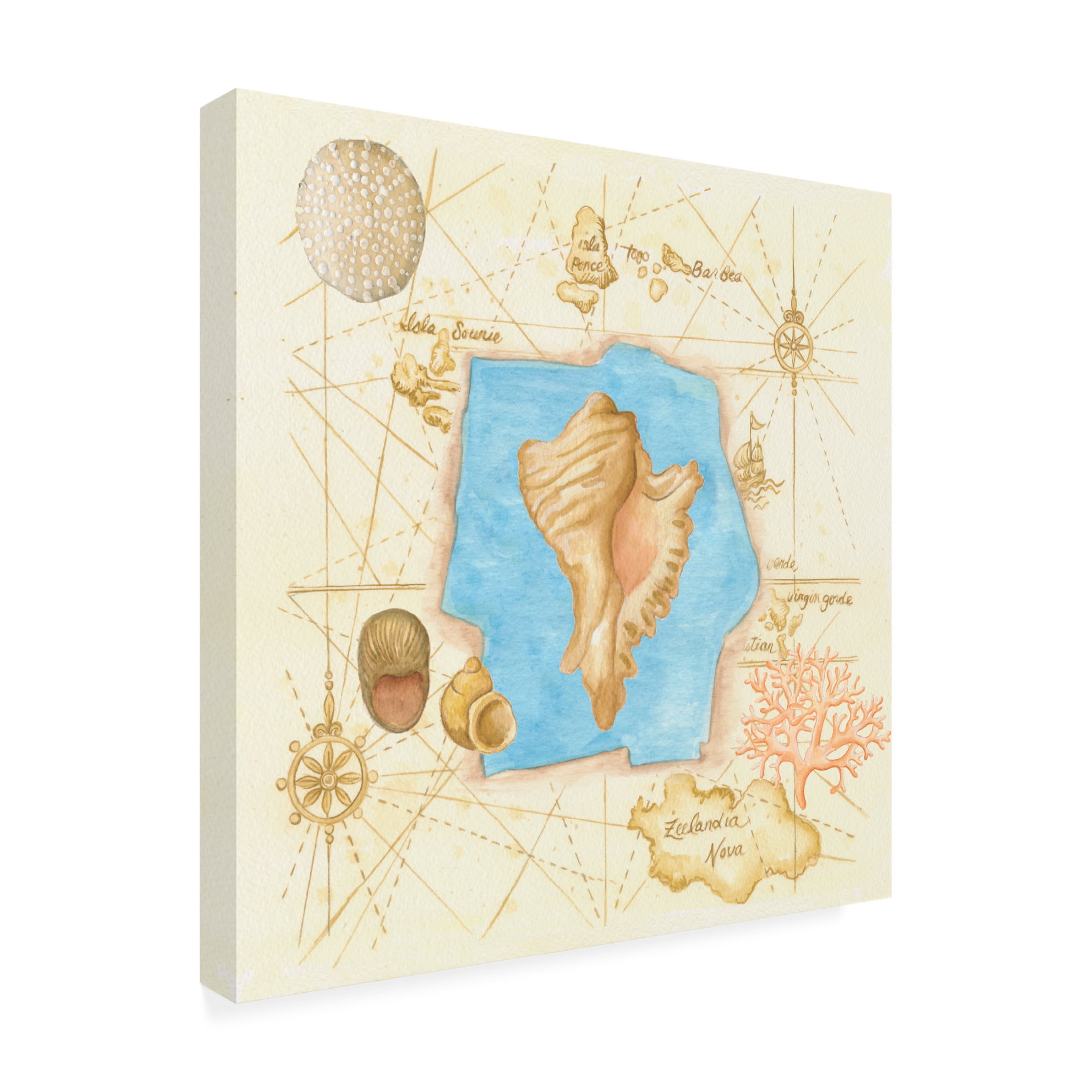 Canvas Wall Art - Andrea Strongwater 'Conch On Map' Wall Art for Living Room, Bedroom, or Office Décor by Trademark Fine Art - 14 x 14 Inches