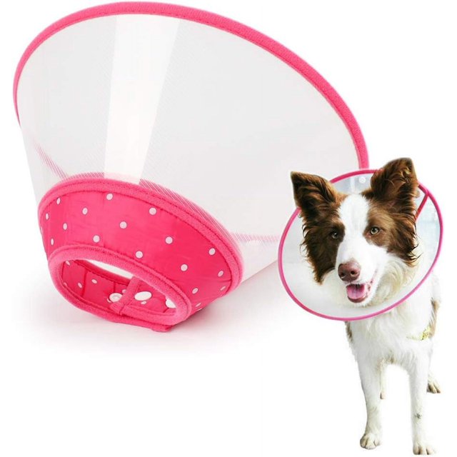 Collar ajustable para perros con cono de recuperación para mascotas, collar acolchado transparente con borde suave transpirable, cono de plástico para cachorros que protege el cuello