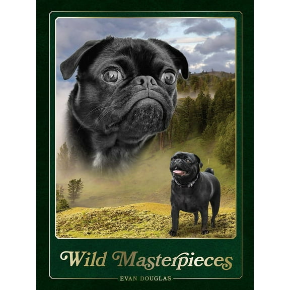 Wild Masterpieces: Wild Masterpieces: A Collection of Inspiring Animal and Pet Portraits (Hardcover)
