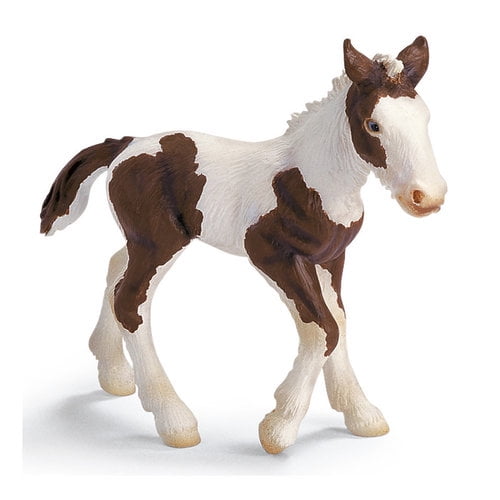 tinker foal
