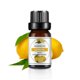 thumbnail image 1 of Ambientador para coche e interior de 10 ml - Aroma floral y frutal. Opciones: lirio, flor, limón y más. Aroma duradero., 1 of 5
