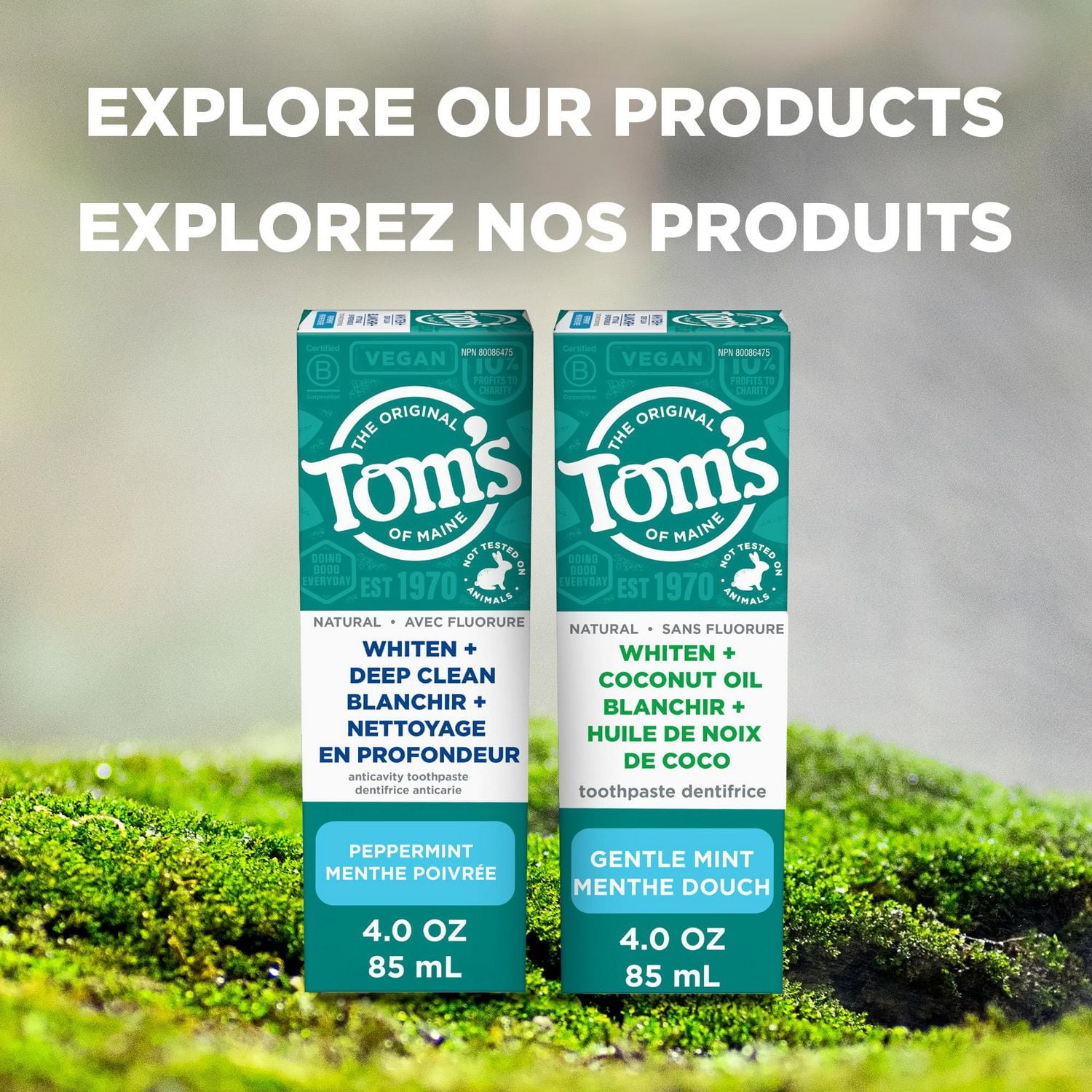 Tom’s of Maine Dentifrice sans Fluorure plus Blanchissant à l’Huile de Coco, Dentifrice Naturel, sans Causer de Sensibilité, Menthe Douce, 113 g