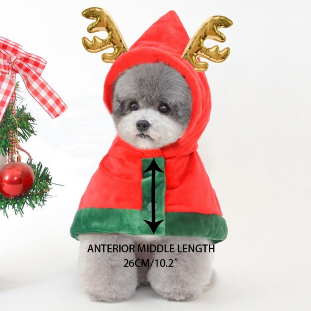 cute puppy christmas outfits