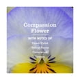 thumbnail image 3 of Mrs. Meyer's Clean Day Compassion Flower Multi-Surface Spray - 16 fl oz: Liquid, Multi-Surface, Walls, Countertops, 3 of 8
