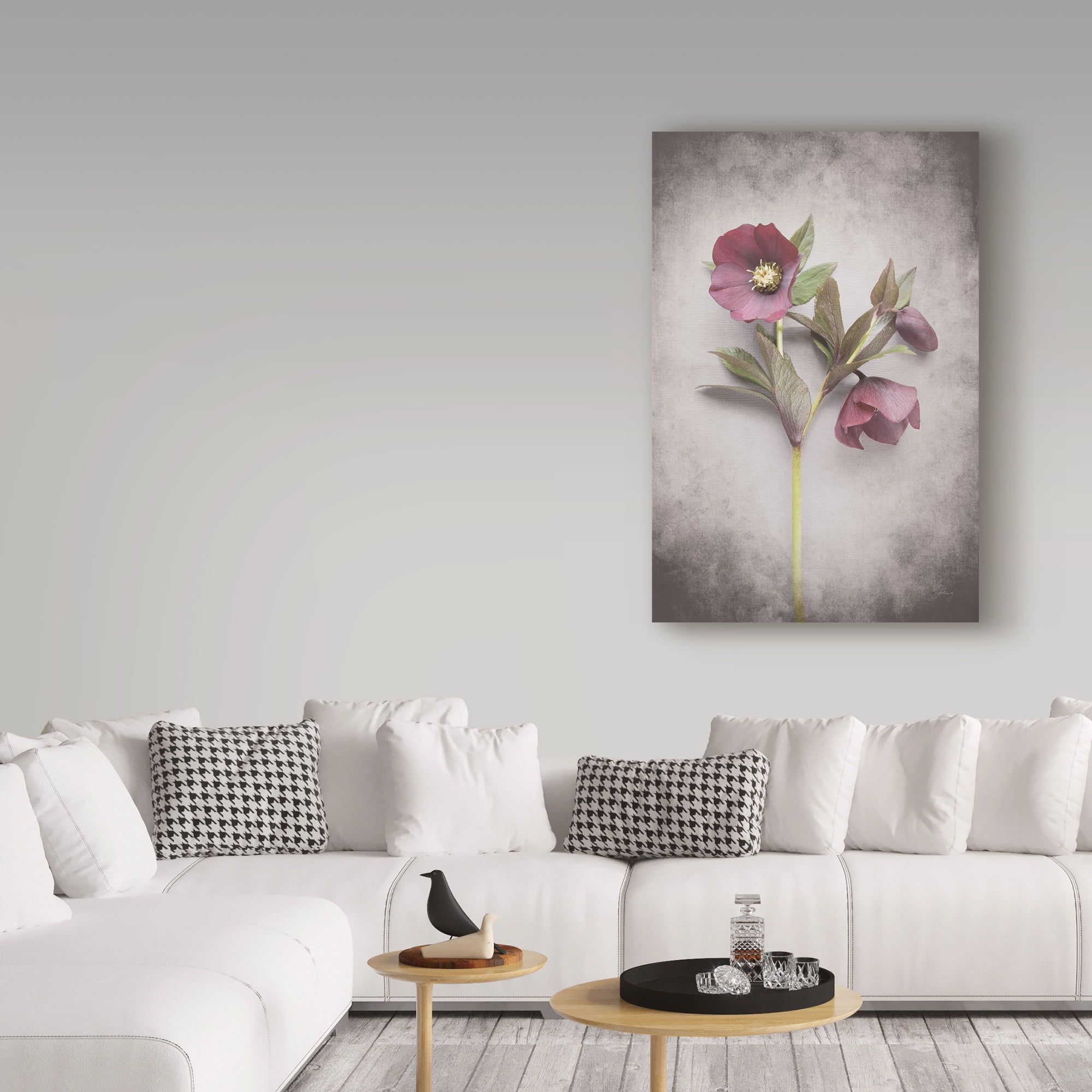 Trademark Fine Art 'Vintage Hellebore Study V' Canvas Art by Felicity Bradley