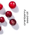 thumbnail image 4 of Balm Natural Inspirations Ultra-Healing Foot + Body 60mL, 4 of 9