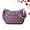 Purple, variant on Apparenth Nylon Shoulder Messenger Bag, Apparent Crossbody Bag, Waterproof Large Capacity Multi Compartments Crossbody Bag