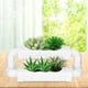 thumbnail image 4 of Maceta para Plantas Suculentas Ticfox Decoración del Hogar SGZ0206 Color Carne Fresca, 4 of 9