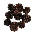 thumbnail image 2 of 10 Piezas De Conos De Pino Natural, Adornos De Mesa Secos, Decoraciones Navideñas Para El Hogar Sunnimix Conos de pino natural secados, 2 of 7