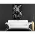 thumbnail image 2 of Cuadro Decorativo Moderno Para Recamara Cebras Ideas Creativas Cuadro sublimado en tela, 2 of 2