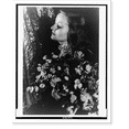 thumbnail image 2 of Historic Framed Print, [Portrait of Tallulah Bankhead holding floral bouquet with foliage backdrop], 17-7/8" x 21-7/8", 2 of 9