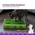 thumbnail image 2 of Catstages Grass Patch Hunting Box - Interactive Indoor Cat Toy with Faux Grass & 3 Jingle Balls - Encourages Exercise, Mental Stimulation & Natural Hunting Instincts, 2 of 7