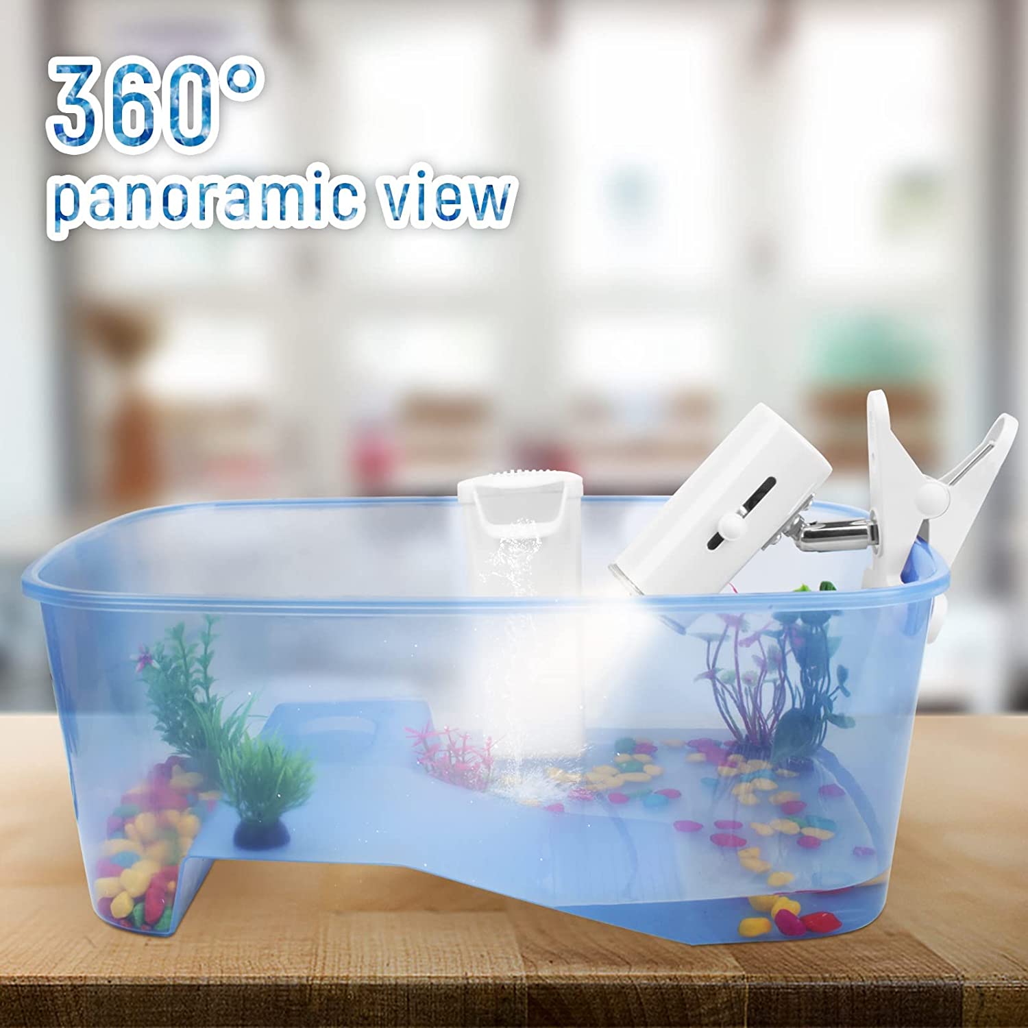 tortoise vivarium starter kit