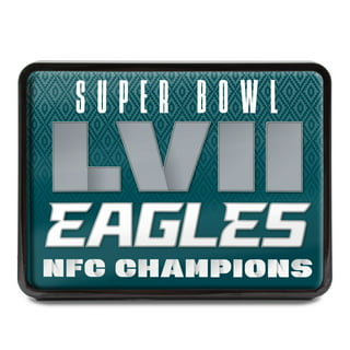 NFL Philadelphia Eagles Louis Vuitton Car Seat Cover • Kybershop