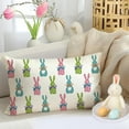 thumbnail image 3 of Easter Pillow Covers 12x20 Inch,Holiday Bunny Rabbits Decor Throw Pillow Covers,Colorful Spring Farmhouse pillowcase for Home Sofa Couch(08-12), 3 of 6
