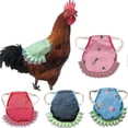 thumbnail image 3 of 5PCS Chicken Saddle Adjustable Hens Aprons Back Wing Feather Protection Presents, 3 of 5