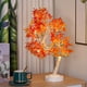 thumbnail image 4 of Seyotauo Fall Lighted Maple Tree LED Lights Thanksgiving Decoration Artificial Tree Lights 17 inch Battery or USB Powered DIY Table Light for Desktop Autumn Harvest Party Indoor Decor, 4 of 6