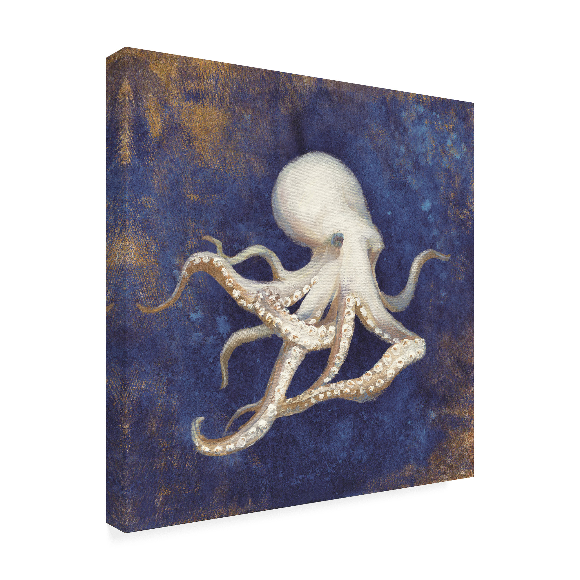 Trademark Fine Art 'Treasures from the Sea Indigo V' Canvas Art by Danhui Nai