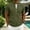 Army Green# Mens Shirts, variant on Vetsdori Mens Short Sleeve T-Shirts Sport Summer Zipper Waffle Casual Jacket Plain Trendy Tops for Men