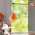 thumbnail image 5 of Cat Teaser 2Pcs Halloween Cat Toys Interactive Cat Toy Cat Teasing Stick Halloween Themed Cat Toy Multifunctional Cat Wand Toy Cat Toy Stick Funny Cat Pet Toy Launcher Cat Stick Kitten, 5 of 5