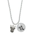 thumbnail image 1 of Delight Jewelry Silvertone Small Viking - Mascot Silvertone Script Initial Disc - N - Charm Necklace, 20"+3", 1 of 4