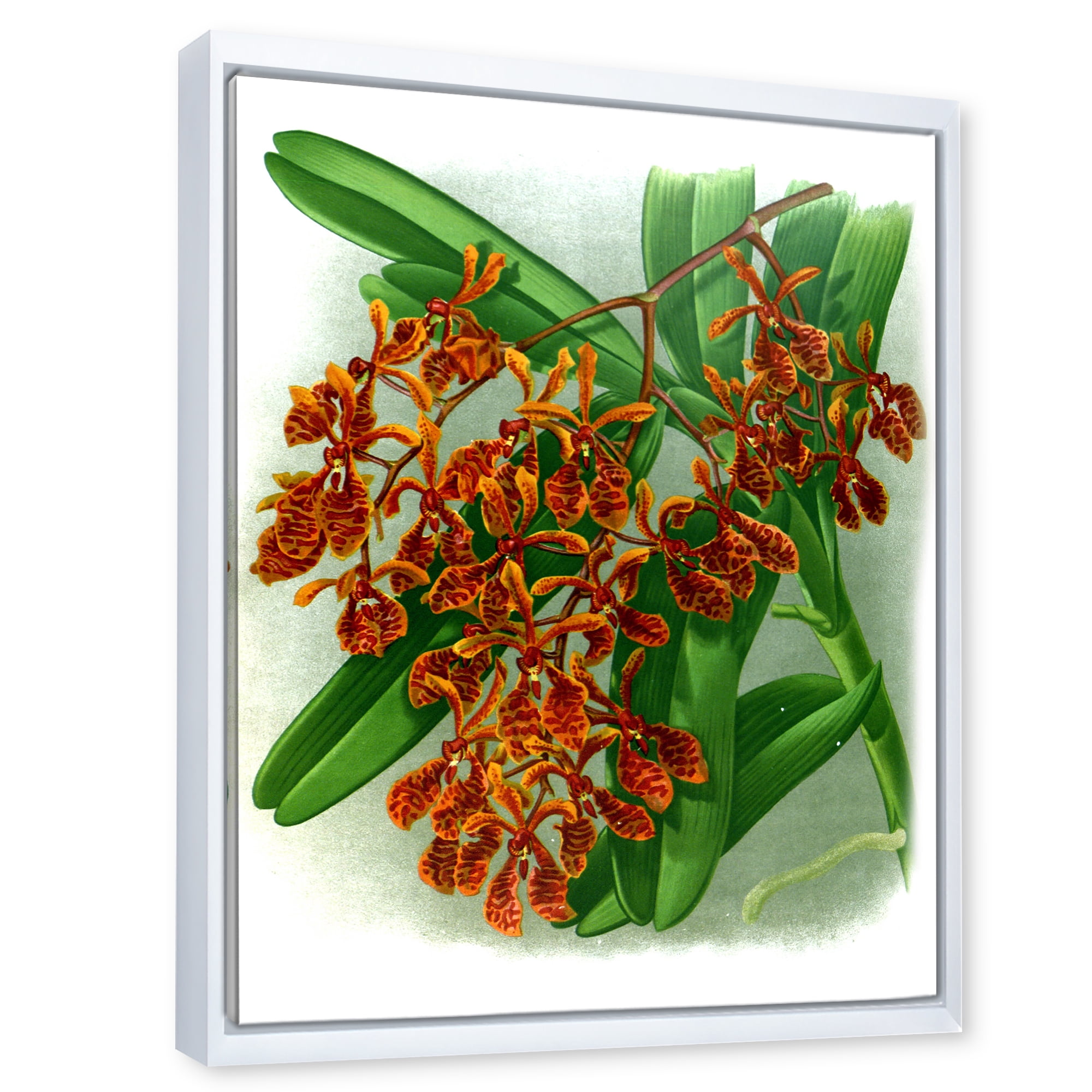Designart 'Flowers Retro II' Farmhouse Framed Canvas Wall Art Print