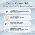 thumbnail image 4 of Tarta de arroz Cleanser ARENCIA Hyssop Sebum Control 150 g, 4 of 7