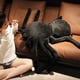 thumbnail image 2 of Peluche de araña gigante para niños., 2 of 7