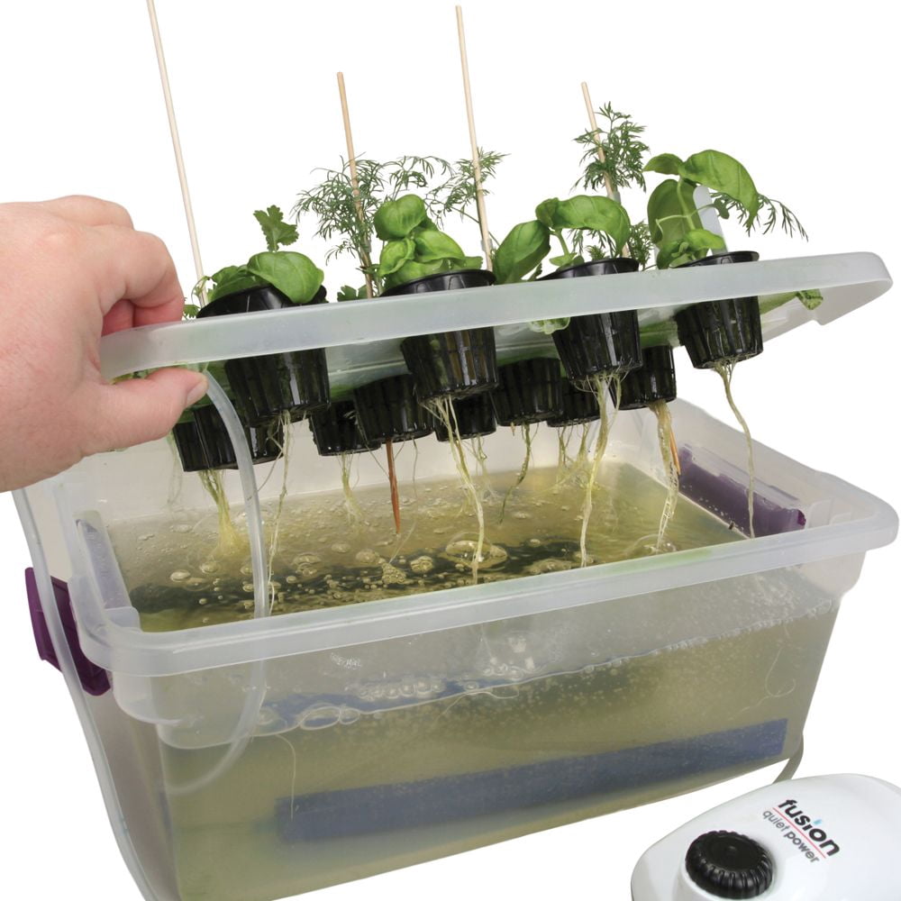 Visual Desktop Hydroponics, Track Growth Of Plants And Their Roots