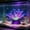 Blue, variant on Aquarium simulation decorative plants, fish tank scenery decoration, simulated sea anemone coral, simulated fluorescent plant fluorescence effect, silicone material.(Blue）