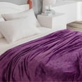 thumbnail image 3 of Solid Color Facecloth Blanket Thickened Double-Sided Fleece Bed Sheet Office Nap, 3 of 5