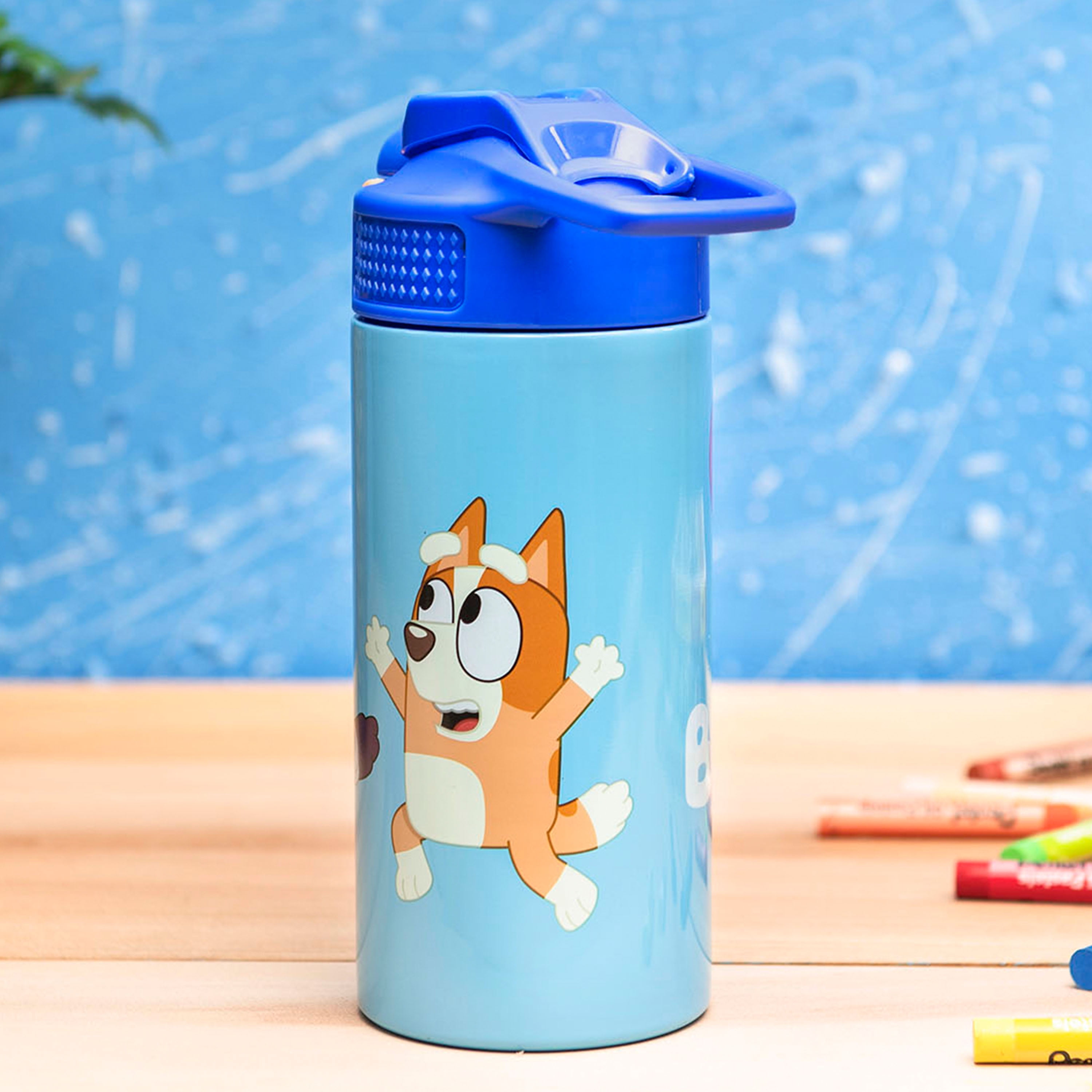 Bluey Water Bottle-kids 12oz Stainless Steel Sippy Cup-bluey Tumbler-kids  Gift-children Cup-thermo Insulated 