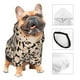 thumbnail image 3 of Fotbe Dachshund Sudadera con Estampado para Perros Pequeños – Suéter con Capucha para Mascotas, Tela Suave de Forro Polar con Bolsillo-X-Large, 3 of 7