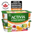 thumbnail image 2 of Activia Probiotic Yogurt, Lactose Free, Lemon-Lime/Pomegranate-Berry/Raspberry-Lychee/Mandarin-Orange, 12x100g, 2 of 8