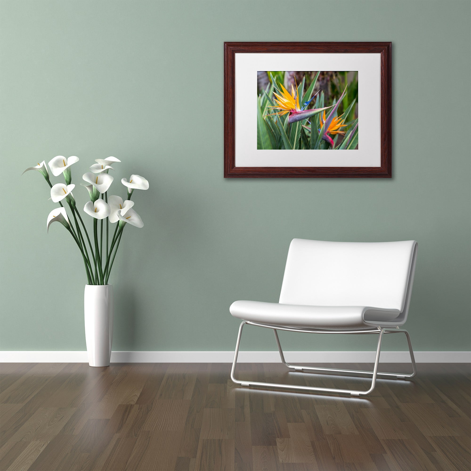 Trademark Fine Art 'Two Birds of Paradise' Canvas Art by Pierre Leclerc, White Matte, Wood Frame