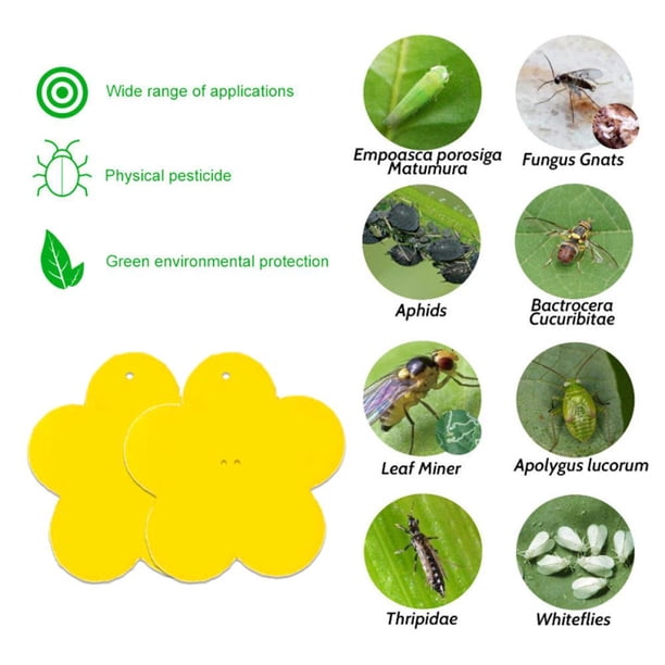 10 Uds. De trampas para moscas a prueba de agua, tablero adhesivo para insectos, pegatina para matar insectos (flor) Libre de BPA