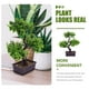 thumbnail image 3 of Plantas artificiales en maceta de escritorio, plantas de imitación en maceta, adorno de bonsái para el hogar, 3 of 7