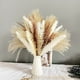 thumbnail image 1 of Juego de 90 decoraciones de flores secas, 5 tipos de ramo de flores secas naturales, decoración de pampas blancas, flores, decoración bohemia para el hogar, bodas, vacaciones, fiestas, 1 of 5
