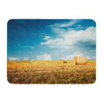 thumbnail image 1 of POGLIP Beautiful Summer Farm Scenery Haystacks Field Landscape Rolls and Sky Doormat Floor Rug Bath Mat 30x18 inch, 1 of 1