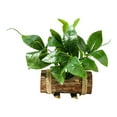 TUMALL Mini Potted Plant Artificial Potted Green Plants for Indoor