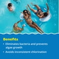 thumbnail image 2 of Paquete de cloro y alcalinidad para piscinas In The Swim, 2 of 8