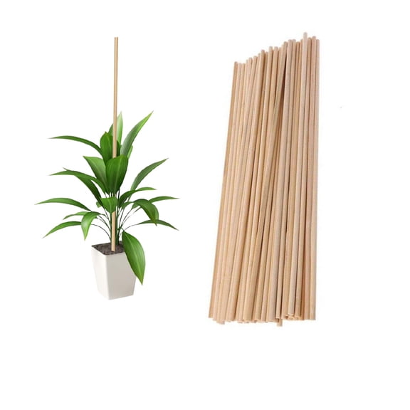 Dailihome Bamboo Plant Stakes 50pcs, 7.87 inch Natural Wooden Garden Sticks for Indoor and Outdoor Plants, Support Stakes for Flowers Orchid Tomato and Vegetables