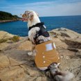 thumbnail image 3 of Diapers for Female Dogs, Strong Absorbent Reusable Dog Period Diapers., 3 of 5