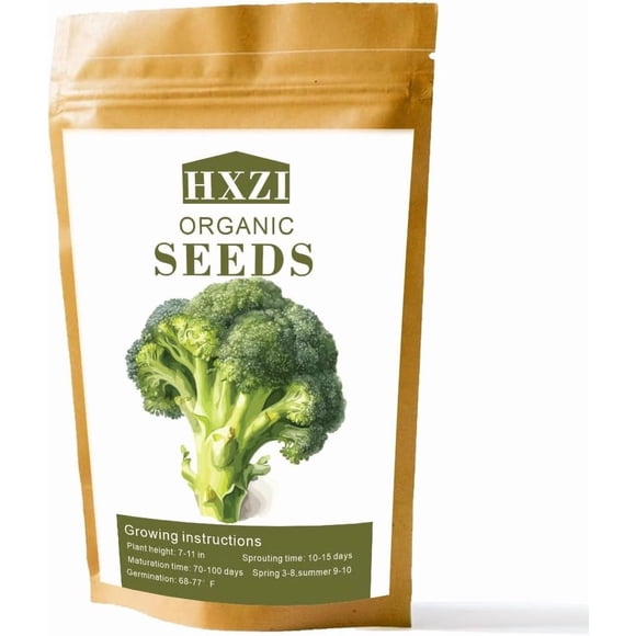GSDWIUEW 300 Broccoli Seeds-Heirloom Seeds for Planting-USA Grown Broccoli Sprouts and Microgreens