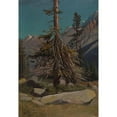 thumbnail image 2 of Knud Baade 11x14 Black Ornate Wood Framed Double Matted Museum Art Print Titled: Study of Trees in the Alps (1850), 2 of 5