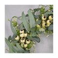 thumbnail image 3 of Corona de eucalipto, corona de hojas de eucalipto artificiales con bayas grandes, corona de vegetación primaveral/verano para puerta de entrada, 3 of 6