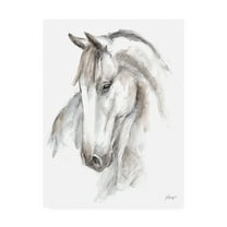 Trademark Fine Art 'Watercolor Equine Study II' Canvas Art by Ethan Harper